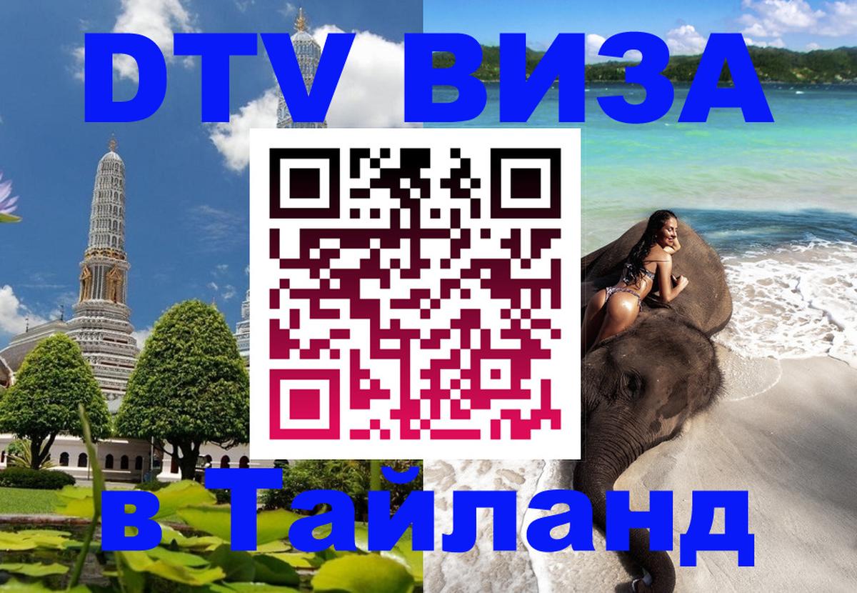 Оформление DTV визы под ключ: стоимость и тарифы, только загранпаспорт - 